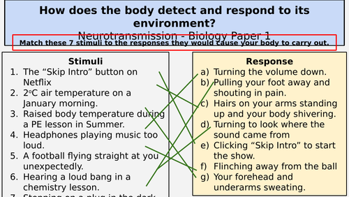 NervousSystem Review Lesson
