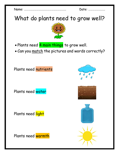 What & Why do plants need to grow well? Worksheet + PowerPoint + Handout