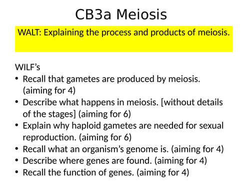 Meiosis CB2a