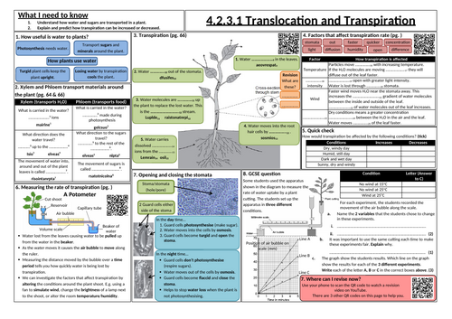 Translocation and Transpiration