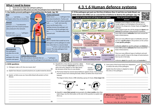 Human defence systems
