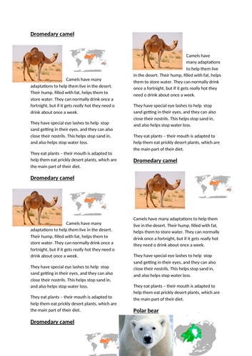 Animal Habitats game/interactive lesson