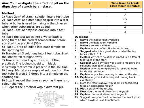 Enzyme rates - Required Practical - Worksheet