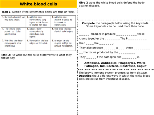 White blood cells - Worksheet - Higher & Foundation (SPEC 3, AQA)