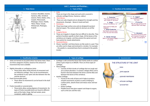 Anatomy & Physiology Knowledge Organiser