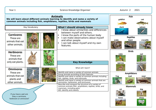 Year 1 Science Animals-  Knowledge organiser, planning and slides