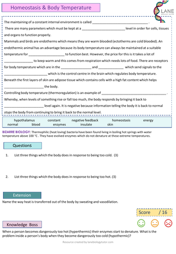GCSE Biology Worksheet Thermoregulation
