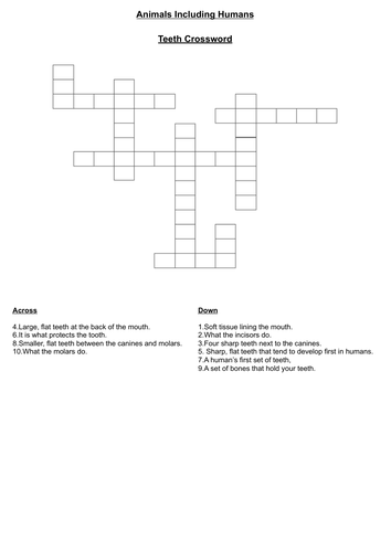 Science Animals Including Humans Teeth wordsearch Year 4