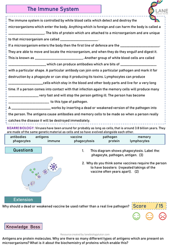 GCSE Biology Worksheet Immune System