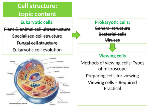 AQA. GCE. Biology. Types of microscope.