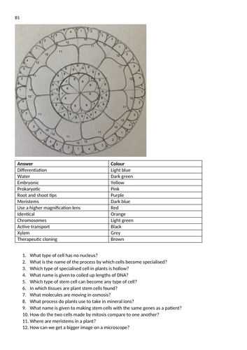 Biology colouring by revision