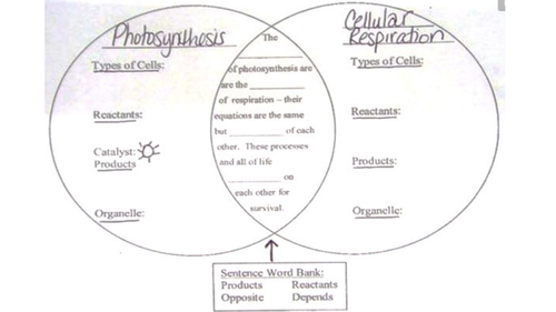 Respiration and Photosynthesis Comparison Venn Diagram
