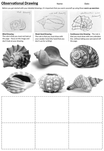 Shell Observational Drawing - Art Cover Lessons, Worksheets, Homework Activity