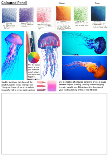 Sea Life Coloured Pencil Worksheets, Cover Lessons, Homework Activities