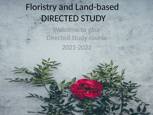 English tasks linked to floristry