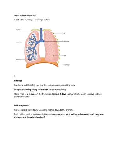 AS Biology-Topic 9-Gas Exchange- Worksheet and Mark scheme