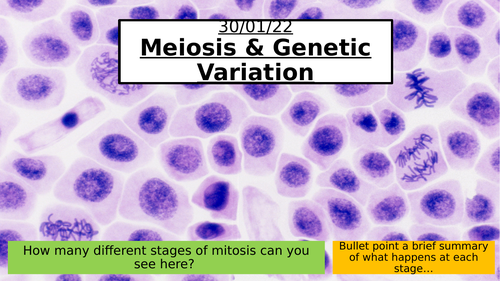 9.2 - Meiosis & Genetic Variation