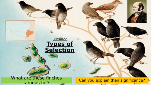 9.4 - Types of Selection