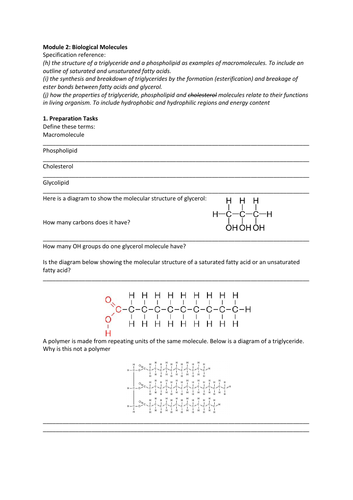 A Level Biology OCR A Revision- Triglycerides and Phospholipids
