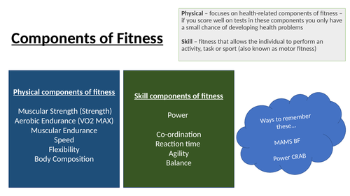 Components of fitness KS3 revision