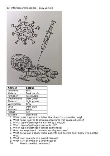 B3  Infection and response colouring by numbers