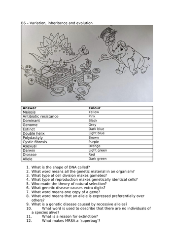 B6 Variation, inheritance and evolution colouring by numbers