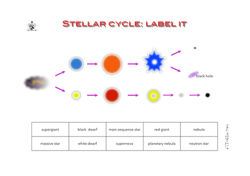 Stellar cycle: label it