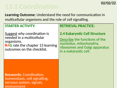 OCR Biology A- 13.1 Coordination