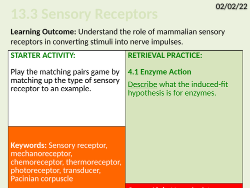 OCR Biology A- 13.3 Sensory Receptors