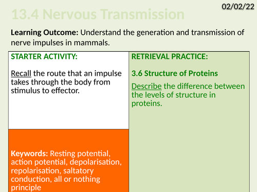 OCR Biology A- 13.4 Nervous Transmission