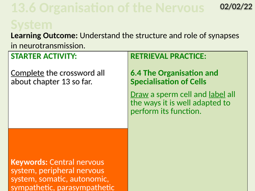 OCR Biology A- 13.6 Organisation of the Nervous System