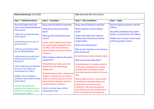 VIPERS reading sequence-  planning and resources - Y5 - BEETLE BOY