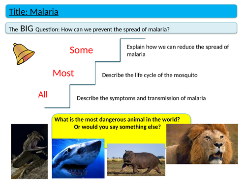 Malaria