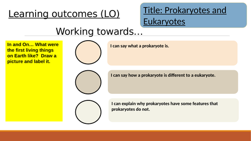 Intro to prokaryotes and eukaryotes
