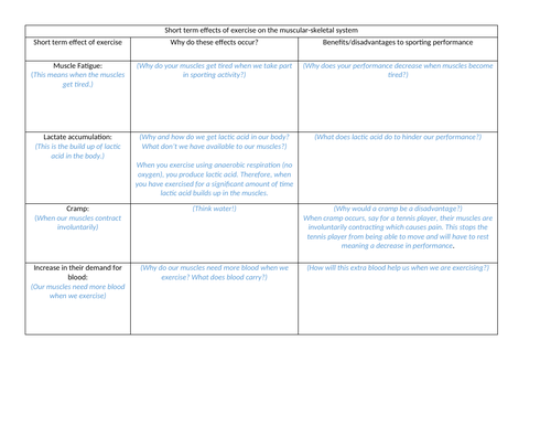 Short term effects on the Muscular System worksheets