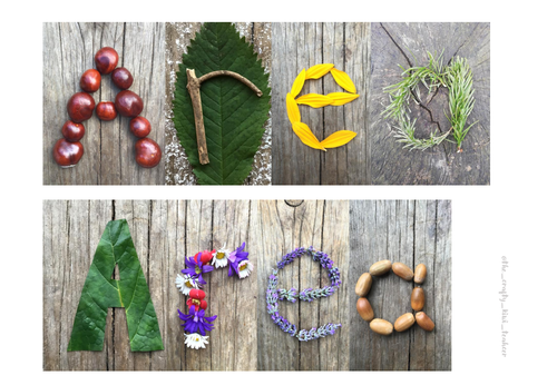 Nature signs for displays across EYFS and Primary classes