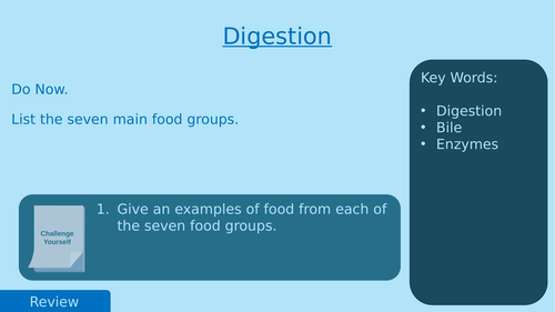 KS3 Science - Digestion