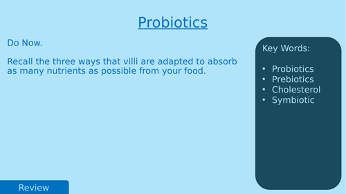 KS3 Science - Gut Bacteria