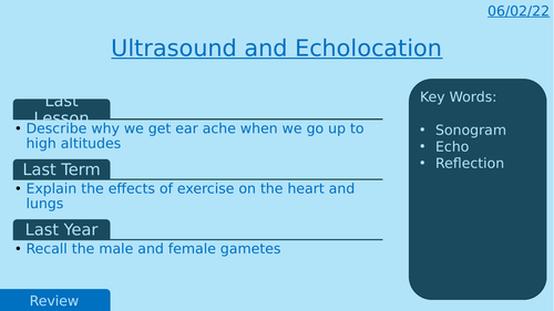 KS3 Science - Ultrasound and Echolocation