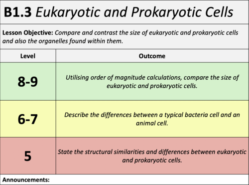 B1.3 - Eukaryotic and Prokaryotic Cells