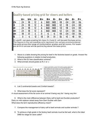 Beef  Worksheet