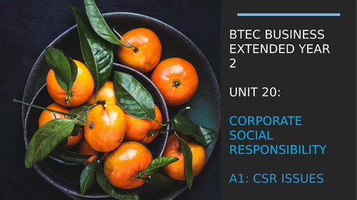 BTEC Business - Unit 20 - CSR (Learning Aim A)