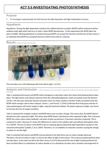 Act 5.5 Investigating Photosynthesis