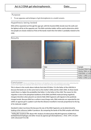 RS CP14 Act 6.3 DNA gel electrophoresis