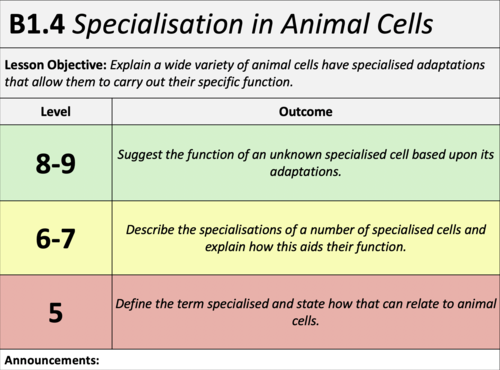 B1.4 - Specialisation in Animal Cells