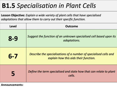 B1.5 - Specialisation in Plant Cells
