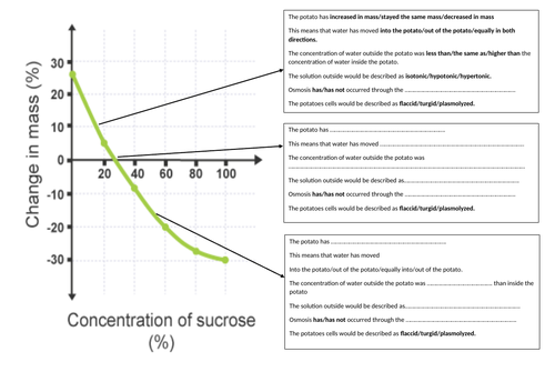 Osmosis Graph Plotting and Analysis