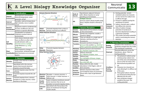 OCR Biology A Knowledge Organiser- Chapter 13