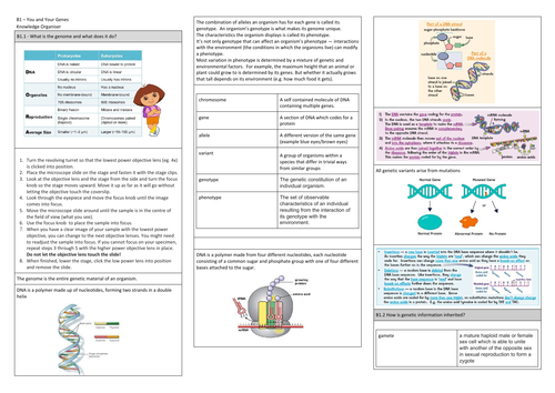 21st Century Biology - B1 - You and Your Genes Knowledge Organiser