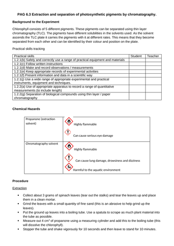 Chromatography of photosynthetic pigments - photosynthesis A level OCR